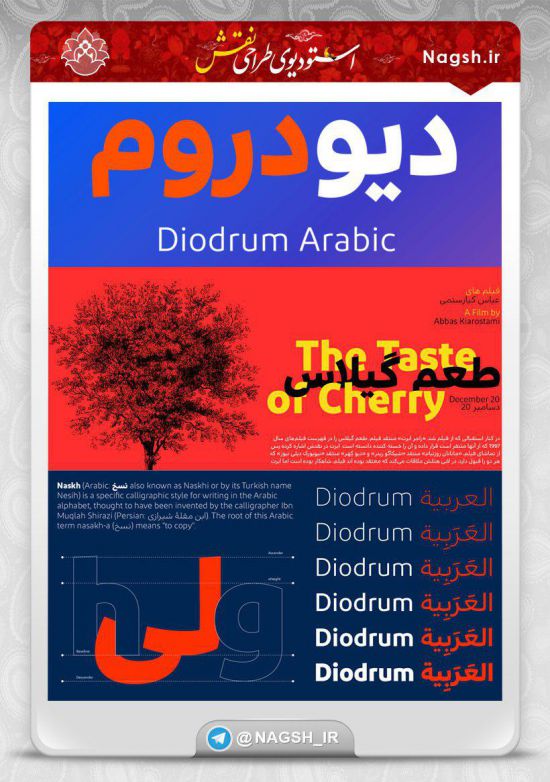  فونت فارسی و عربی دیودروم Diodrum  